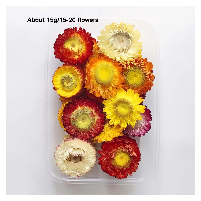 Tørrede Blomster Box 13